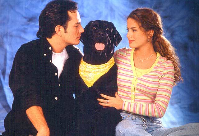 Perro Amor