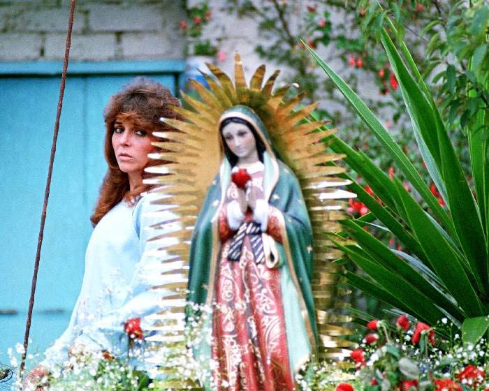 Rosa Salvaje